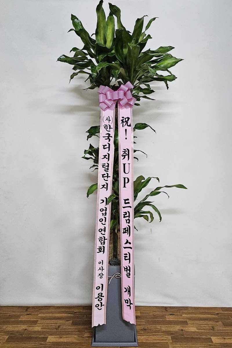 업로드 이미지