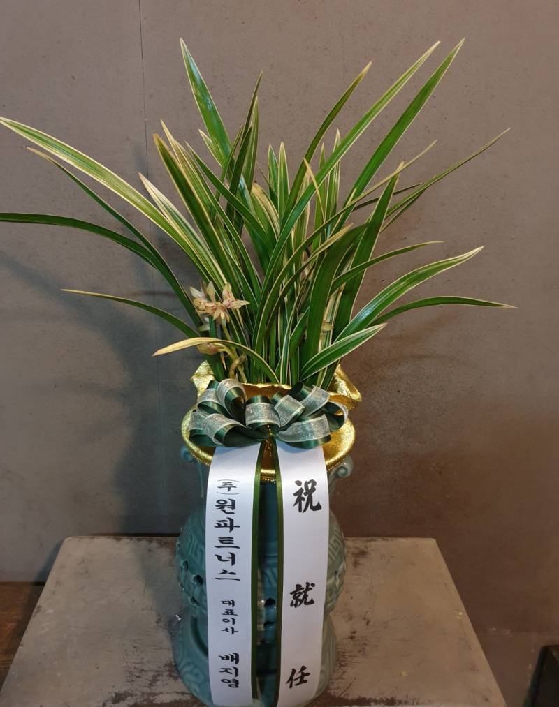업로드 이미지