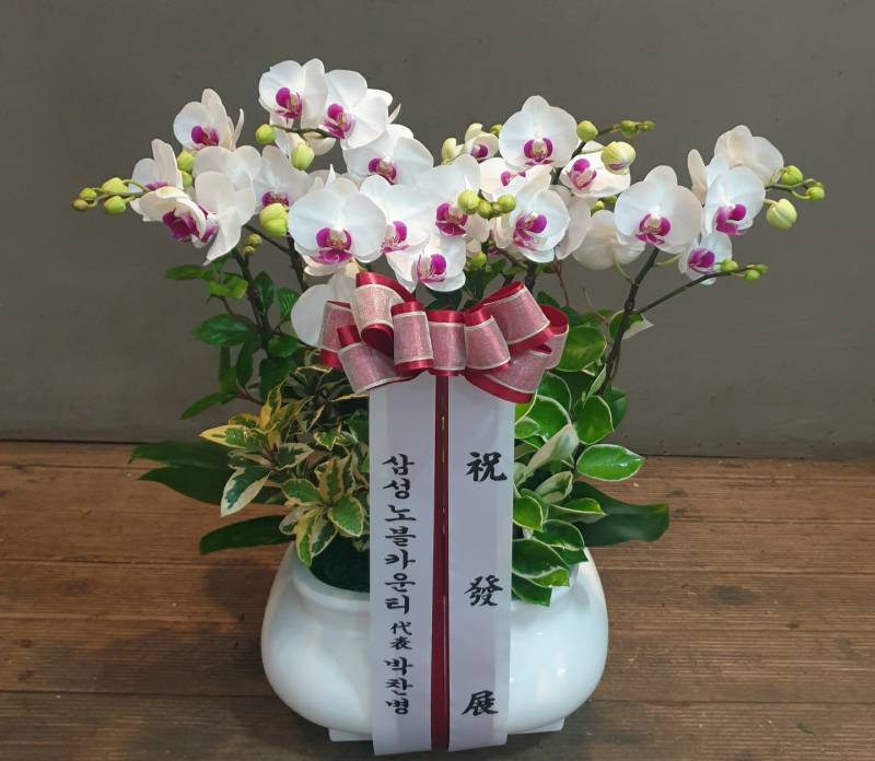 업로드 이미지