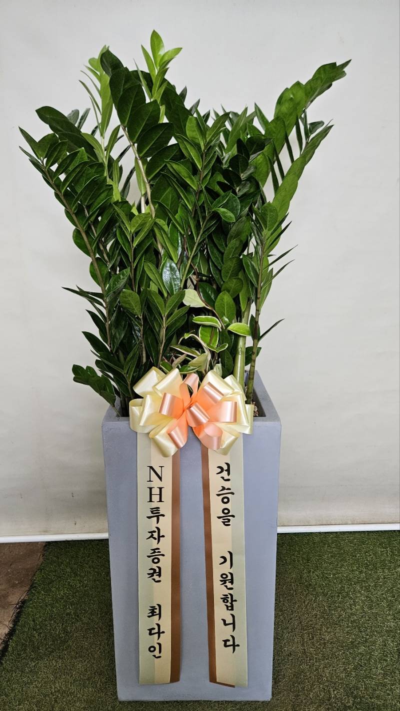 업로드 이미지