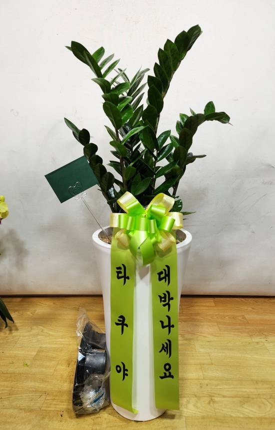 업로드 이미지