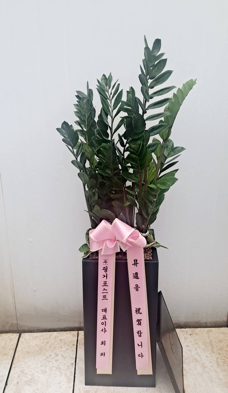 업로드 이미지