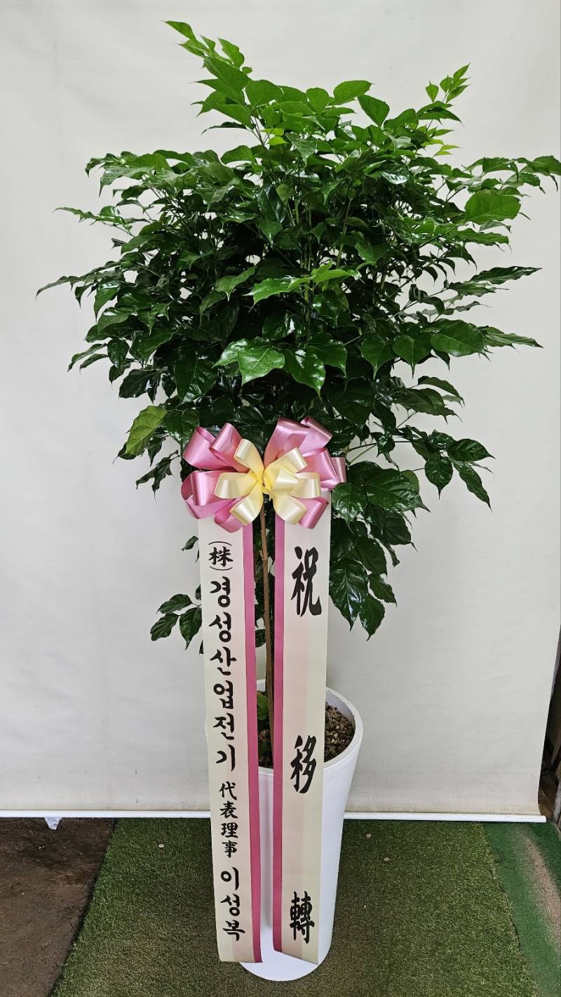 업로드 이미지