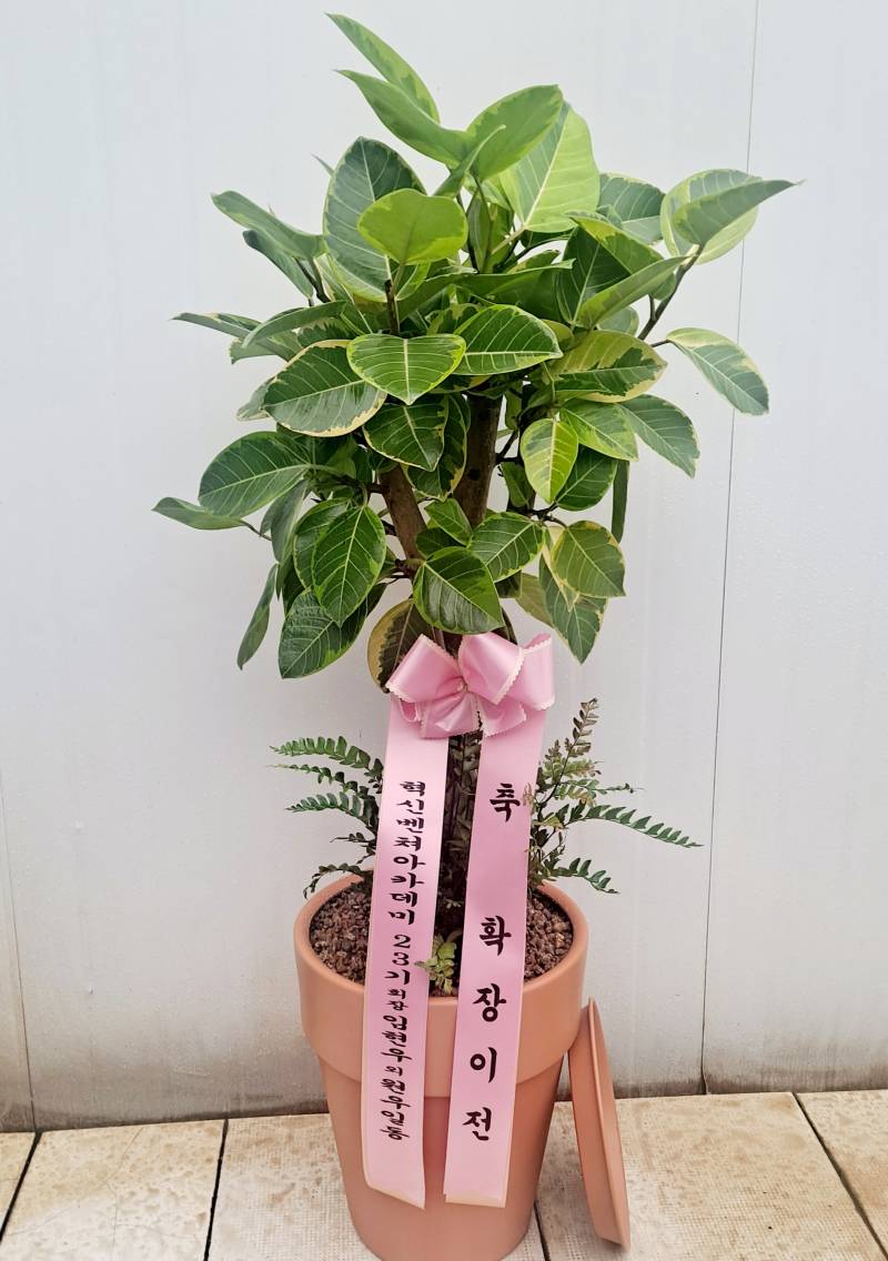 업로드 이미지