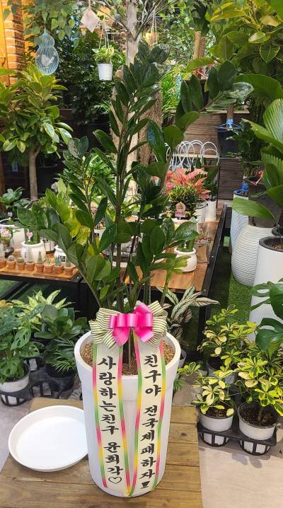 배송사진