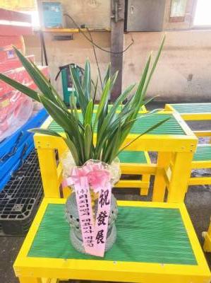 배송사진