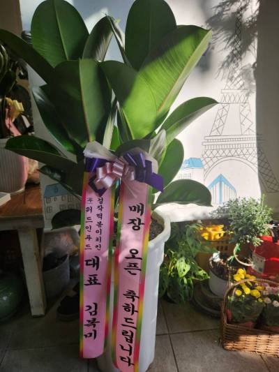 배송사진