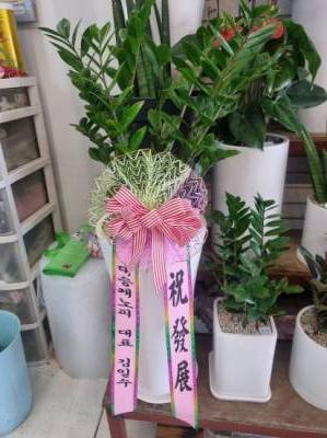 배송사진