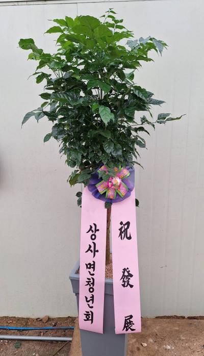 배송사진
