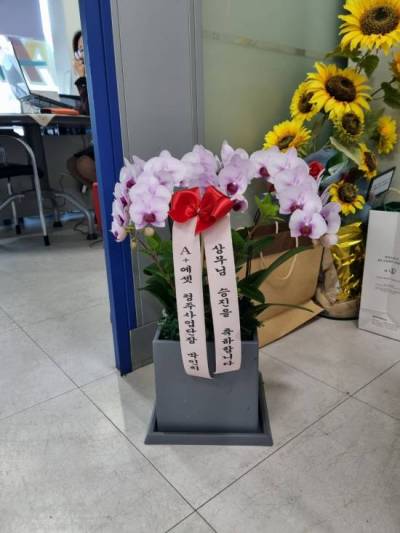 배송사진