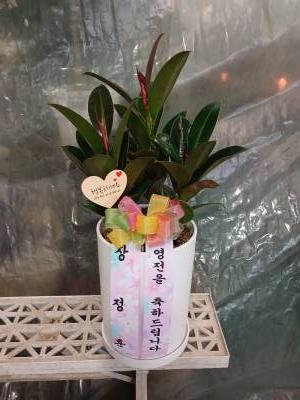 배송사진
