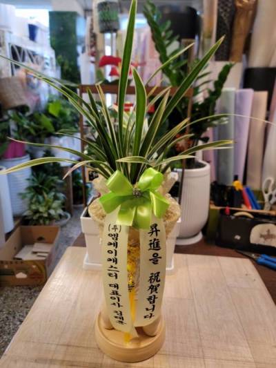배송사진