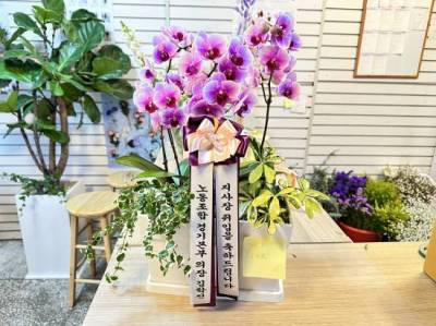 배송사진