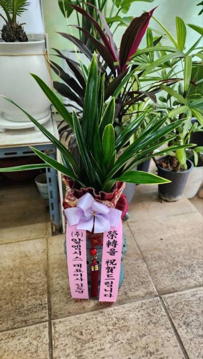 배송사진