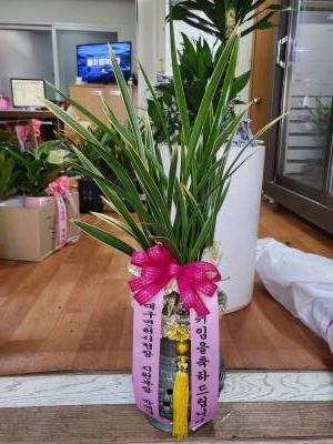 배송사진