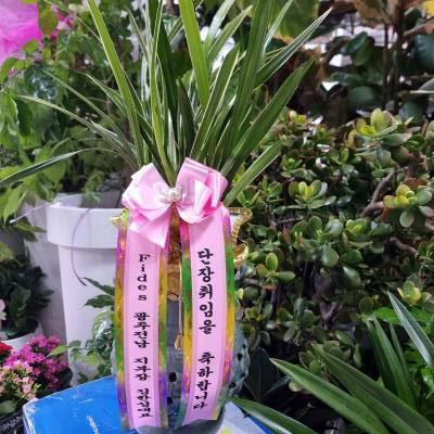 배송사진