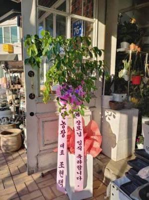 배송사진