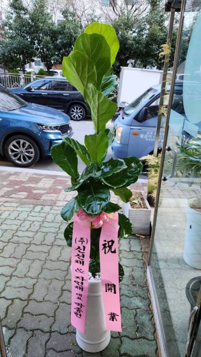 배송사진