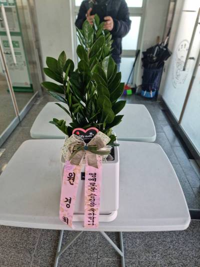 배송사진