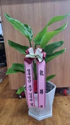 배송사진