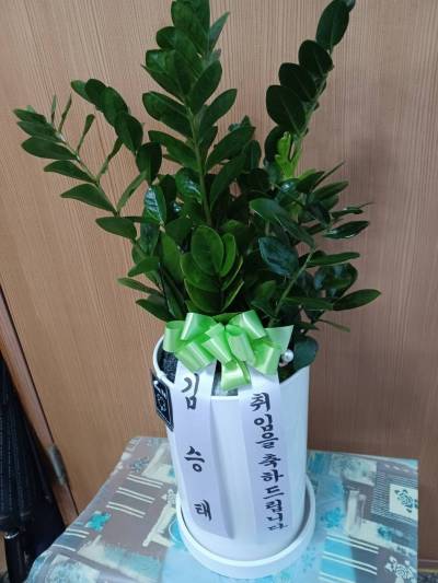 배송사진