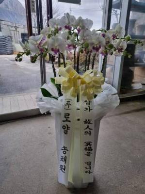 배송사진
