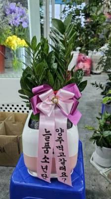 배송사진