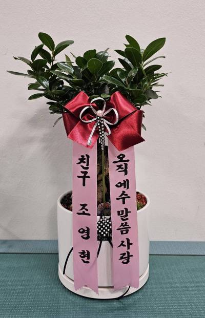 배송사진