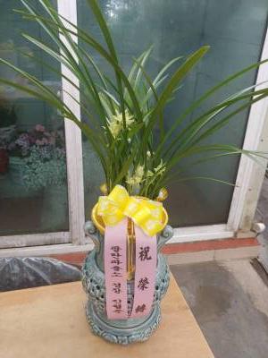 배송사진