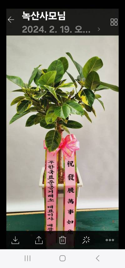 배송사진