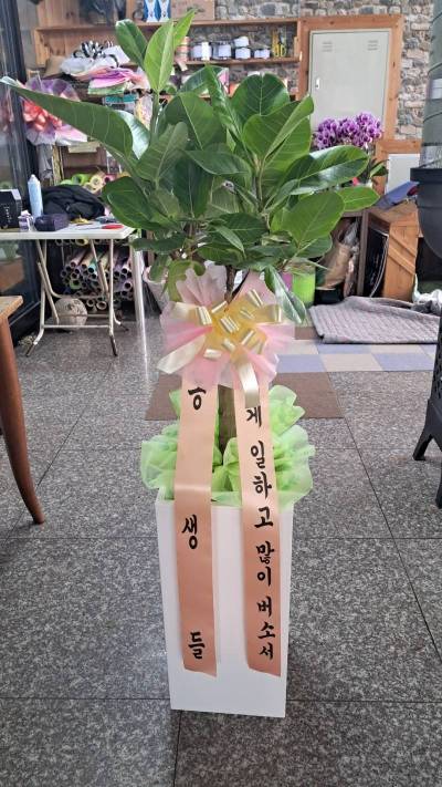 배송사진