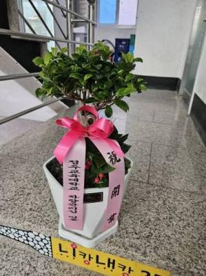 배송사진