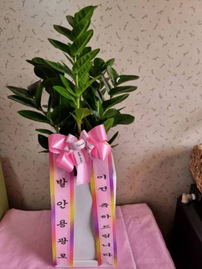 배송사진