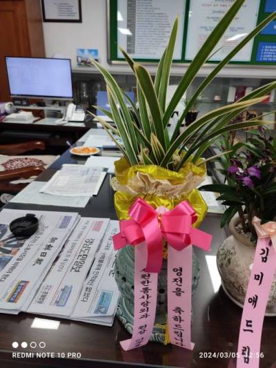 배송사진