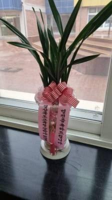 배송사진