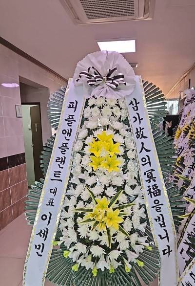 배송사진