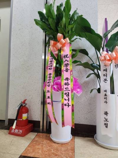 배송사진