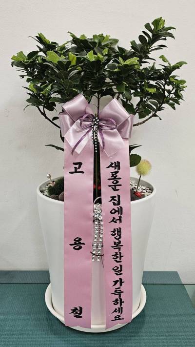 배송사진