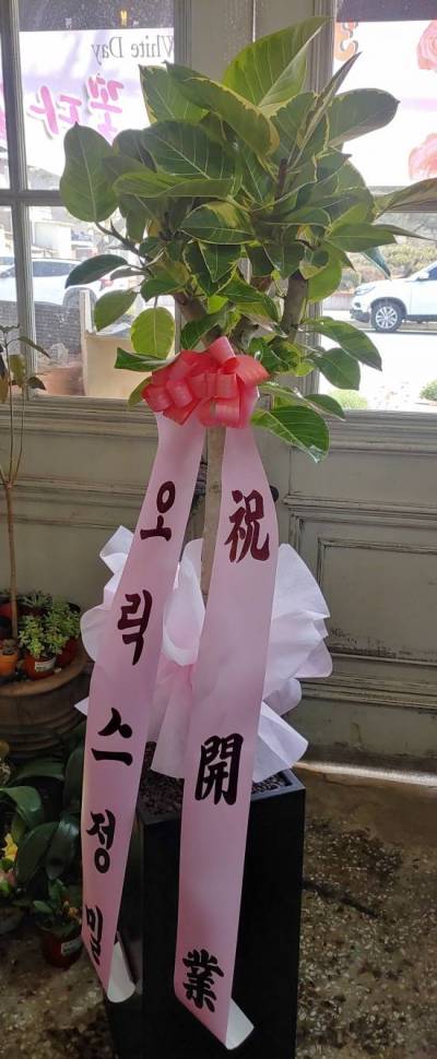배송사진