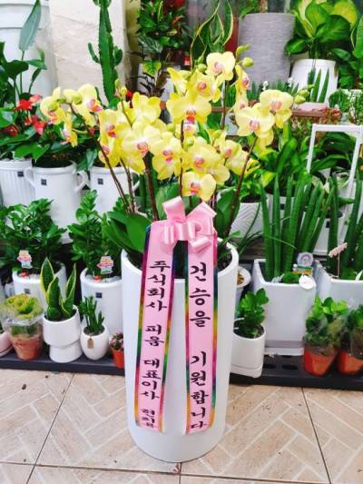 배송사진