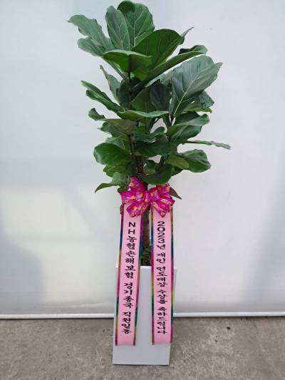 배송사진