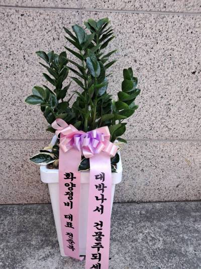 배송사진