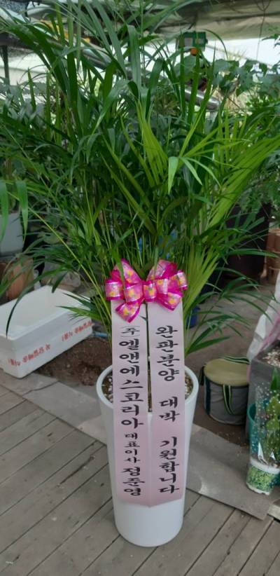 배송사진