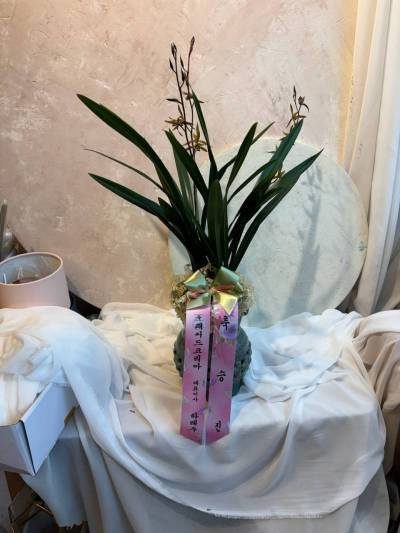 배송사진