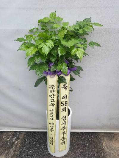 배송사진