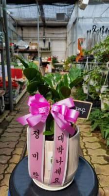 배송사진