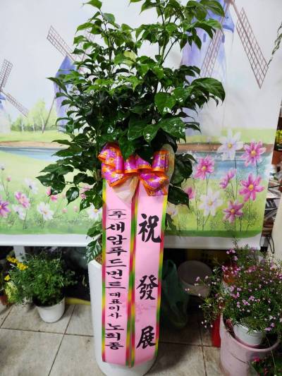 배송사진