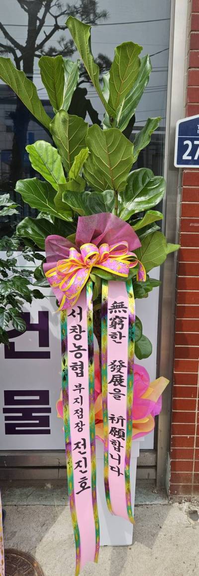배송사진