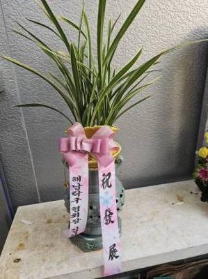 배송사진