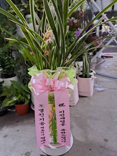 배송사진